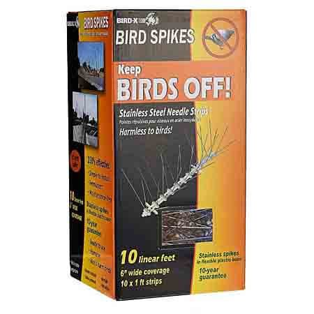 stainless steel bird spikes