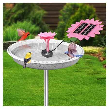 birdwish bird bath