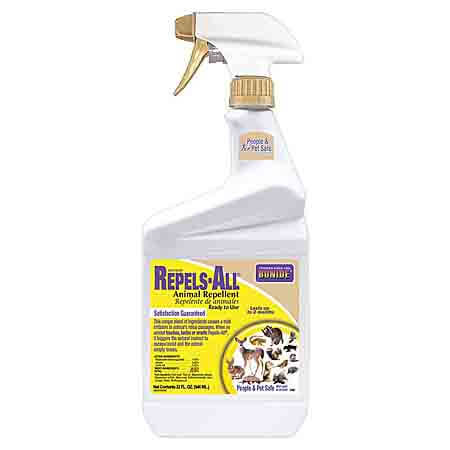 bird repellant spray